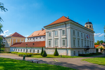 Fototapeta premium Summer day at Vlasim castle in czech republic