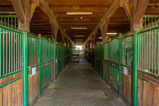 Matai Menes stud farm at Hortobagy national park in Hungary
