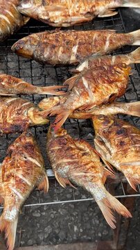 Grilled Fish at a Local Market in Laos