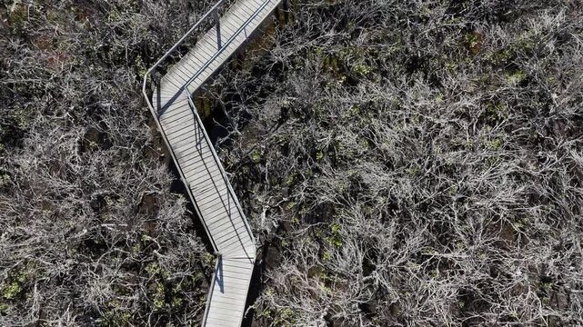 4K aerial drone footage of winding mangrove boardwalk, coastal wetlands, tidal flats and nature walking trail in St Kilda, North Adelaide, South Australia Coastline.