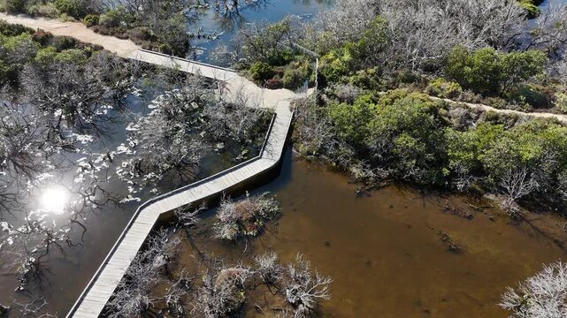 4K aerial drone footage of winding mangrove boardwalk, coastal wetlands, tidal flats and nature walking trail in St Kilda, North Adelaide, South Australia Coastline.