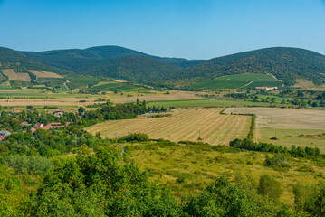 Fototapeta premium Panorama view of vineyards at Tokaj region of Hungary