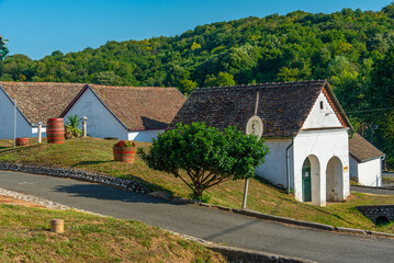 Obraz premium Wine cellars at Palkonya in Hungary