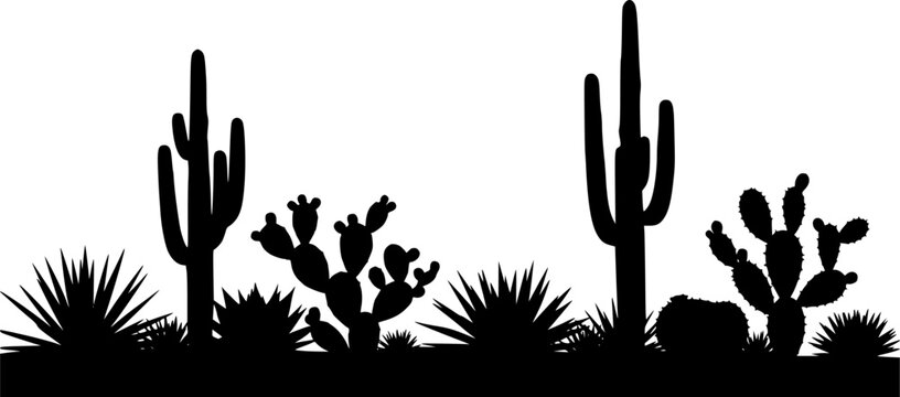 Silhouette desert landscape with various cacti and succulents on white background Keywords: desert, cactus, succulent

