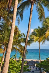 Fototapeta premium Varadero, Cuba; 04.07.2023. Beautiful, colourful sunset on the beach in Varadero, Cuba! Cote d'Azur of the Atlantic Ocean, next to the Caribbean Sea. Cuba wild palm beach background. Nature blue sea l