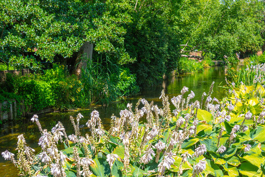 Great Stour river in Canterbury, England