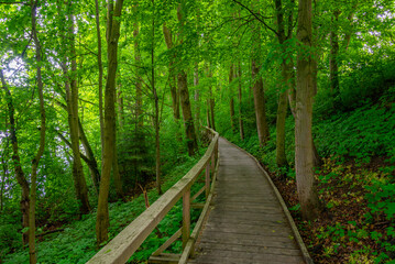 Fototapeta premium Beautiful countryside of Zdar nad Sazavaou in Czech republic