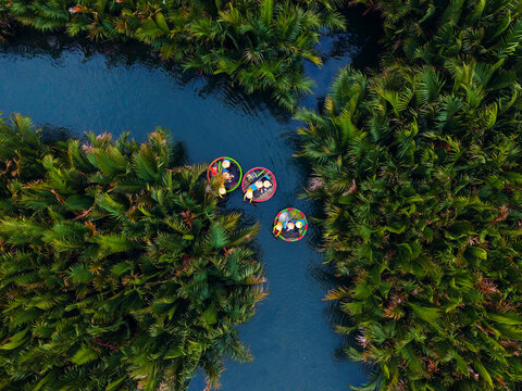 Aerial view of colorful coconut bamboo boats in lush palm forest, hoi an, vietnam