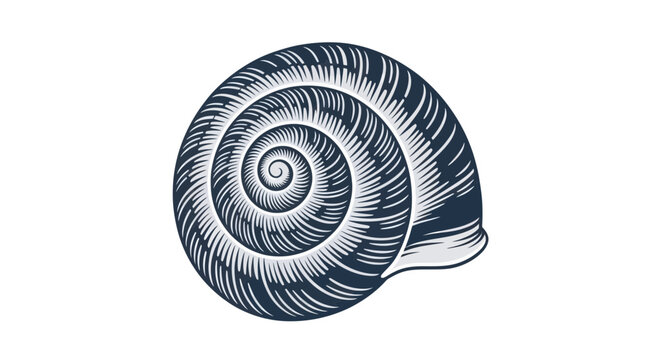 Snail Shell Spiral Pattern Isolated on White Background