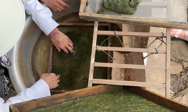 Making Lao River Weed Snacks (Kaipen)