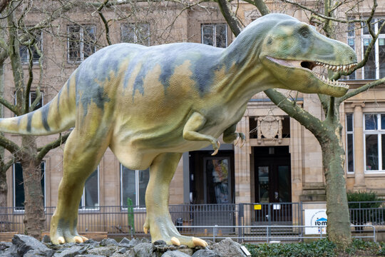 Frankfurt, Germany - 4 Feb 24: T. rex dinosaur model outside Senckenberg Museum Frankfurt