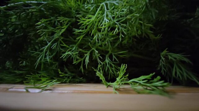 Extreme close-up of fresh green mint leaves and dill sprigs on a wooden cutting board. Cinematic macro shot with dark background highlighting vibrant texture, organic freshness, and culinary herbs.