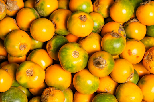 Solanum quitoense - Naranjilla tropical fruit in Colombian market square