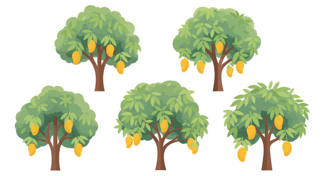 Five Ripe Mango Trees with Yellow Fruits, Tropical Orchard Illustration