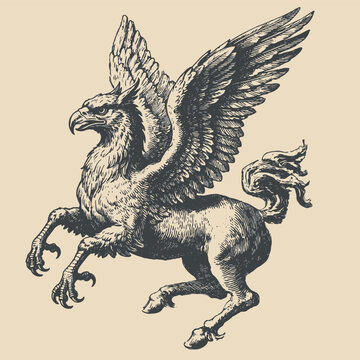 Hippogriff vintage engraving