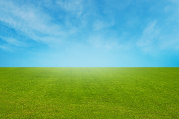 Obraz premium Landscape view of Green Grass Field with Blue Sky and soft white clouds.