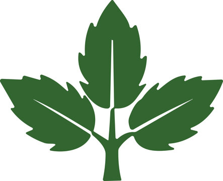 Green trifoliate leaf icon with bold symmetrical lobes for nature, ecology, and sustainability design content