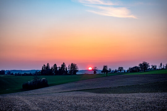 Baumgrundst&uuml;ck bei Sonnenuntergang
