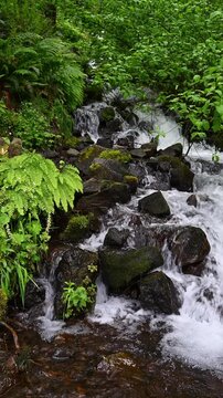 Vertical Wahkeena Falls in the Columbia River Gorge, Oregon, spring leaves in bright green and running water of waterfall as a nature background
