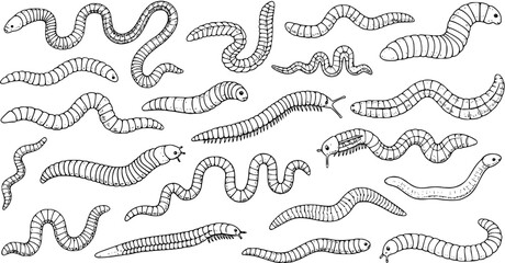 Earthworm and Centipede Doodle Pattern: Hand-Drawn Insects, Nature's Critters © victoria