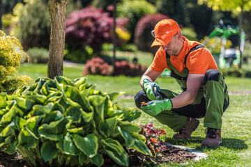 Gardener Works on Plants in a Green Park During Daylight © Tomasz Zajda