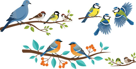 Colorful Garden Birds Vector Set with Sparrow Tit Bluebird Flying Songbirds on Tree Branches and Leaves for Nature Wildlife Illustration Collection Design © Rownok