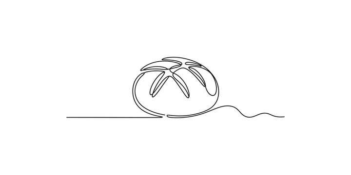 A continuous line drawing of a sand dollar on the beach sea creature ocean floor