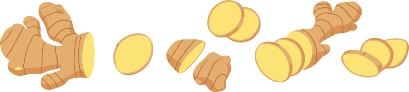 Ginger Root and Slices Vector Illustration Collection with Whole and Cut Pieces for Cooking, Organic Food, Herbal Medicine, and Spice Design Use
