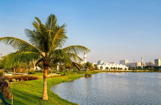 Scenic view of the Jaffali Mosque and a palm tree reflected in the Arbaeen Lagoon at sunset in Jeddah, Saudi Arabia.
