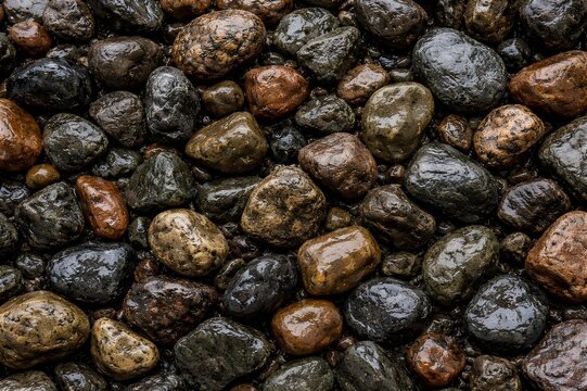 Fondo de suelo de piedras mojadas 