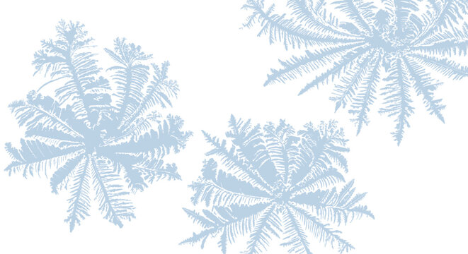 Abstract Blue Snowflake Pattern