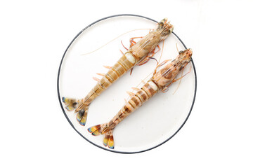Fresh Penaeus monodon shrimp © YH