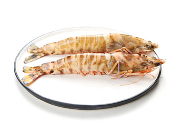 Fresh Penaeus monodon shrimp © YH
