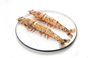 Fresh Penaeus monodon shrimp © YH
