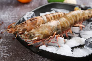 Fresh Penaeus monodon shrimp © YH