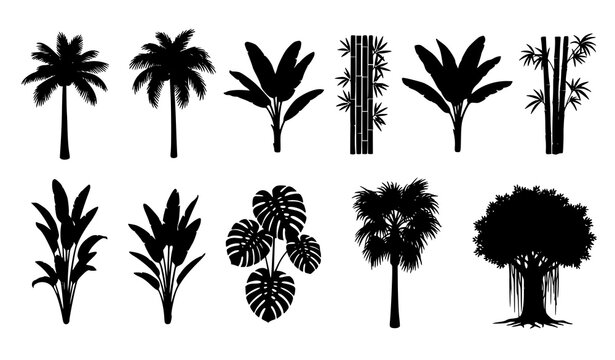 Tropical plant silhouette vector set with palm banana bamboo monstera and banyan trees isolated on white background