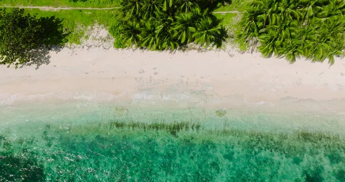 Beautiful coconut trees and sandy beach with clear water and waves. Carabao Island, Romblon. Philippines.