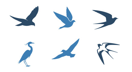 Obraz premium Silhouettes of various birds in flight and perched showcasing different species