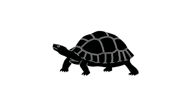 Black and white illustration of a turtle with a patterned shell on a white background