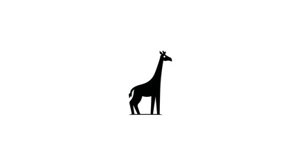 Fototapeta premium A silhouette of a giraffe, facing right, with a long neck and short horns. It stands on a line