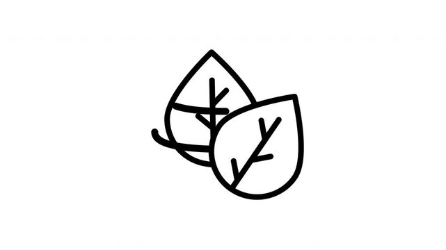 leaf animated icon