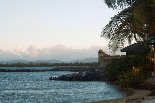 Horizontal photo of a spanish fort near the coast with a palm tree on the side
