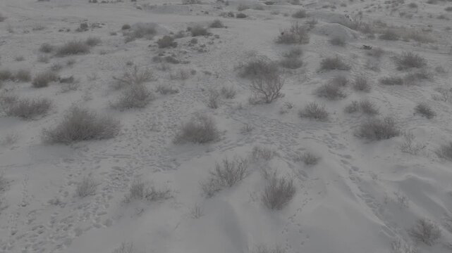Hemu Village Xinjiang Aerial Footage (DJI Mavic 4 Pro D-log)