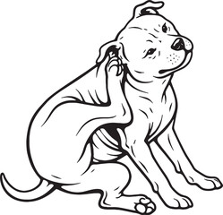 Fototapeta premium Staffordshire Bull Terrier Scratching Ear Sitting Pose Black and White Line Art Vector