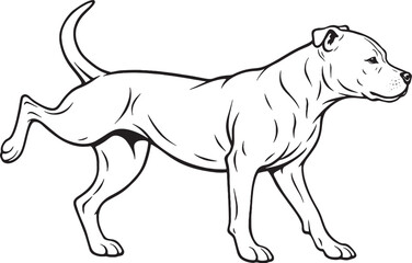 Fototapeta premium Staffordshire Bull Terrier Marking Territory Leg Lift Black and White Line Art Vector