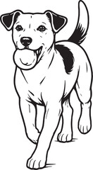 Fototapeta premium Jack Russell Terrier Fetch Return Carrying Ball Black and White Line Art Illustration