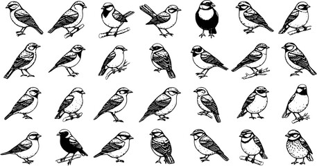 Hand-Drawn Collection of Small Birds in Various Poses - Vector Illustrations © victoria
