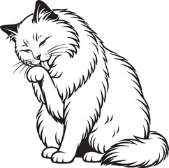 Obraz premium Ragdoll Cat Grooming Paw Lick Black and White Line Art Pet Behavior Illustration