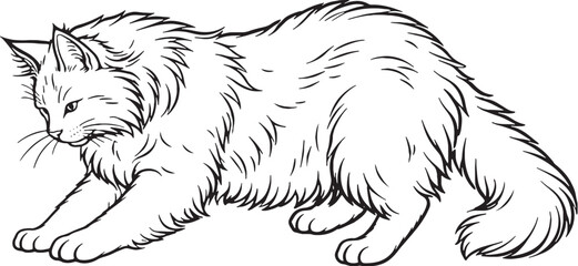 Obraz premium Norwegian Forest Cat Kneading Paws Black And White Line Art Cat Comfort Behavior Illustration