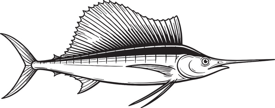 Sailfish Extended Dorsal Fin Side View Clean Black And White Line Art Pelagic Fish Illustration